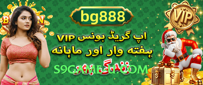 pakjeto VIP Features